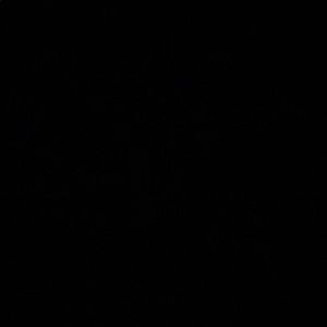 Meet your Posher, Tiago